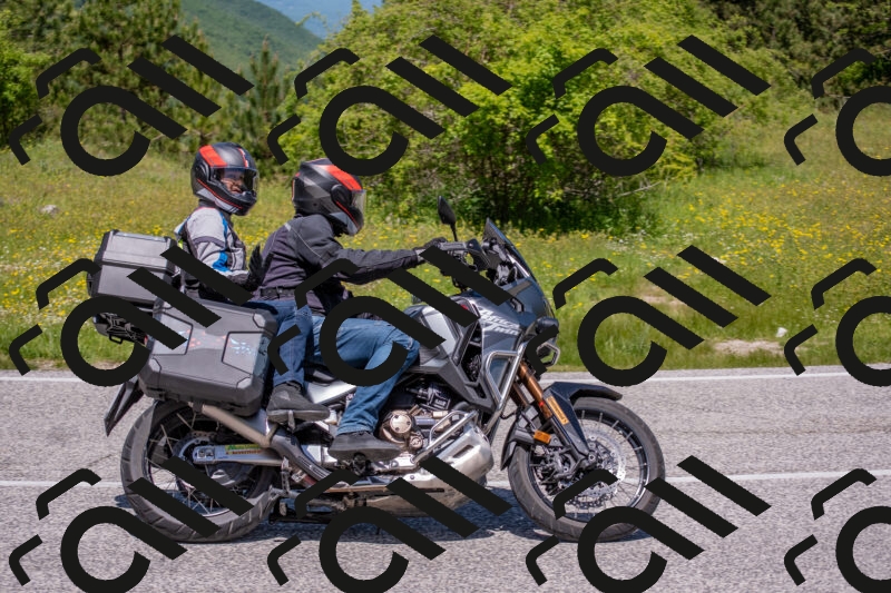 202506021219-DSC_8814_c4_