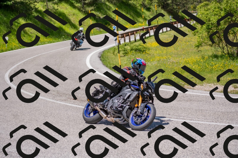 202506021219-DSC_8815_c4_