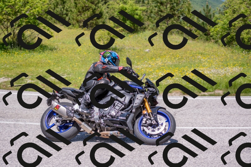 202506021219-DSC_8816_c4_