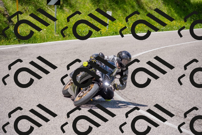 202506021219-DSC_8817_c4_