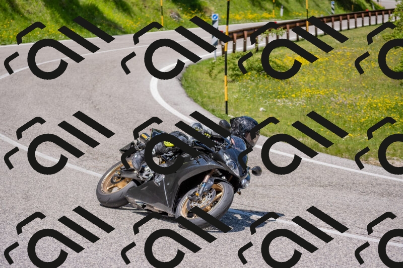 202506021219-DSC_8818_c4_