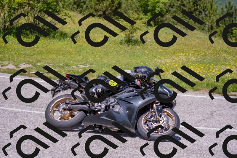 202506021219-DSC_8819_c4_