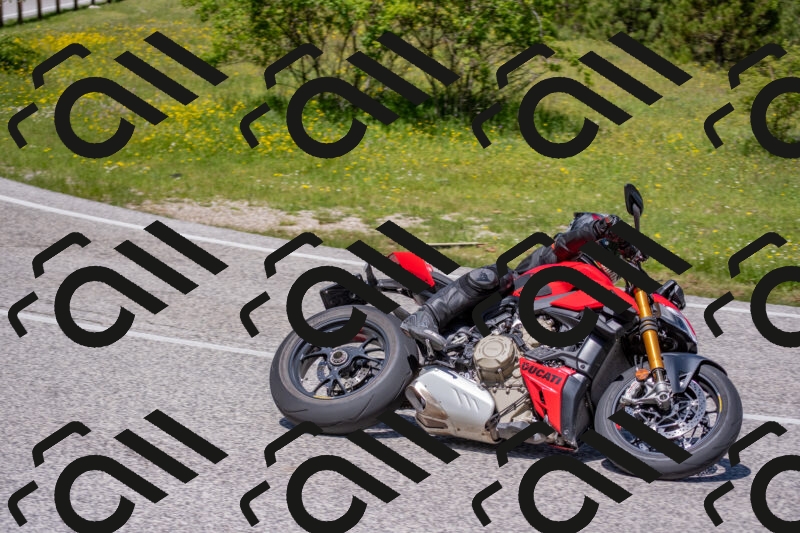 202506021219-DSC_8820_c4_