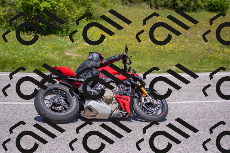 202506021219-DSC_8821_c4_