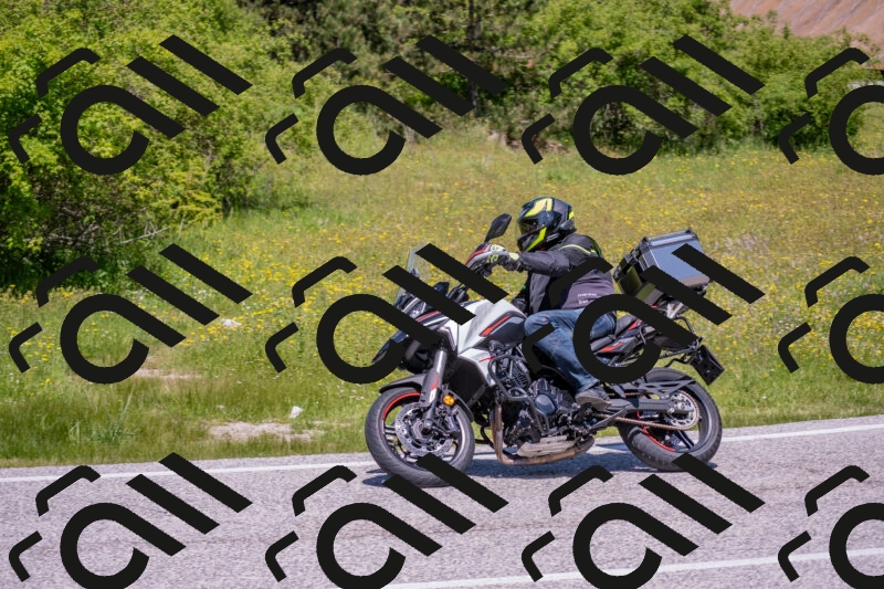 202506021219-DSC_8822_c4_