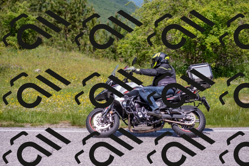 202506021219-DSC_8823_c4_