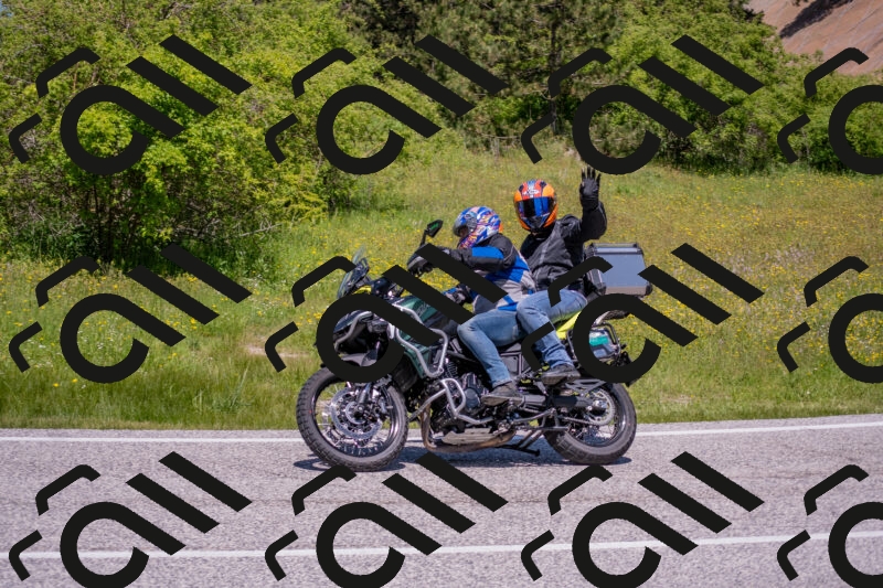 202506021219-DSC_8826_c4_