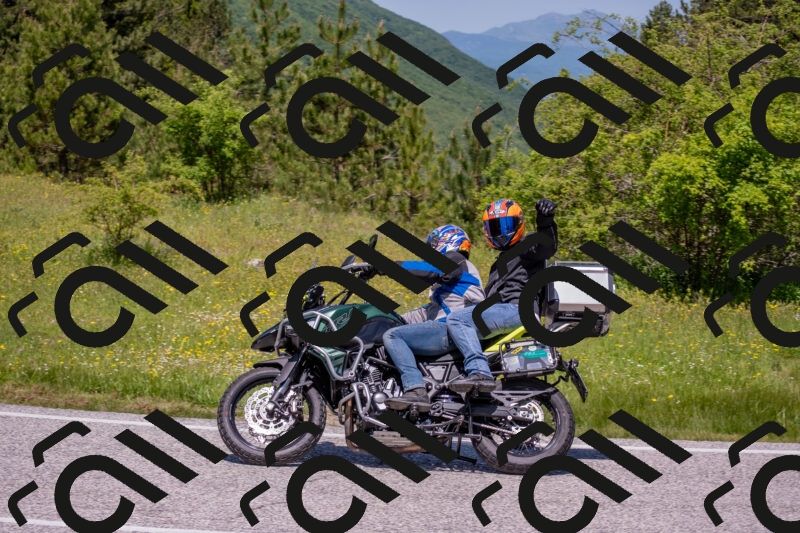 202506021219-DSC_8827_c4_