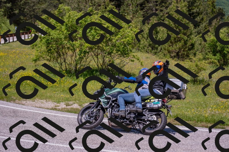 202506021219-DSC_8828_c4_