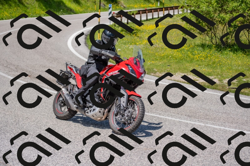 202506021220-DSC_8833_c4_