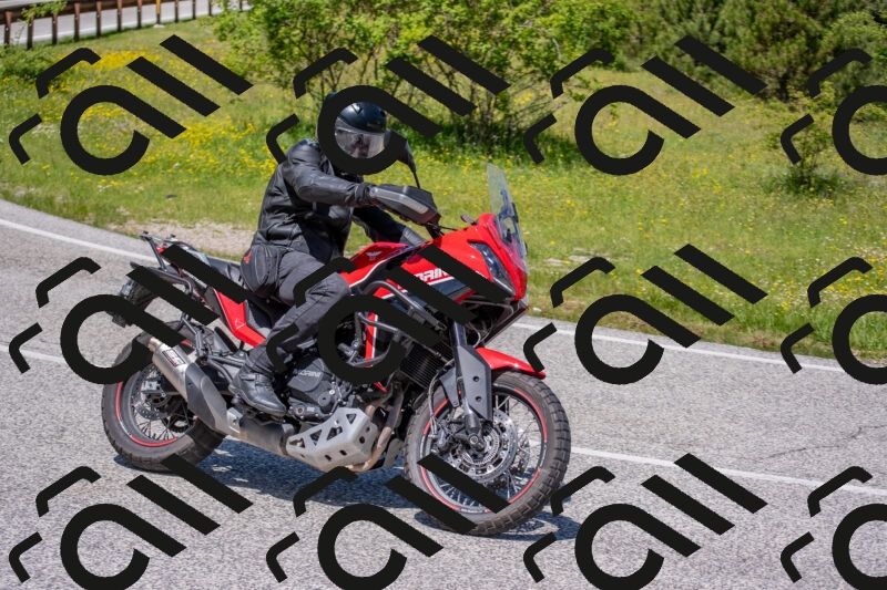 202506021220-DSC_8834_c4_