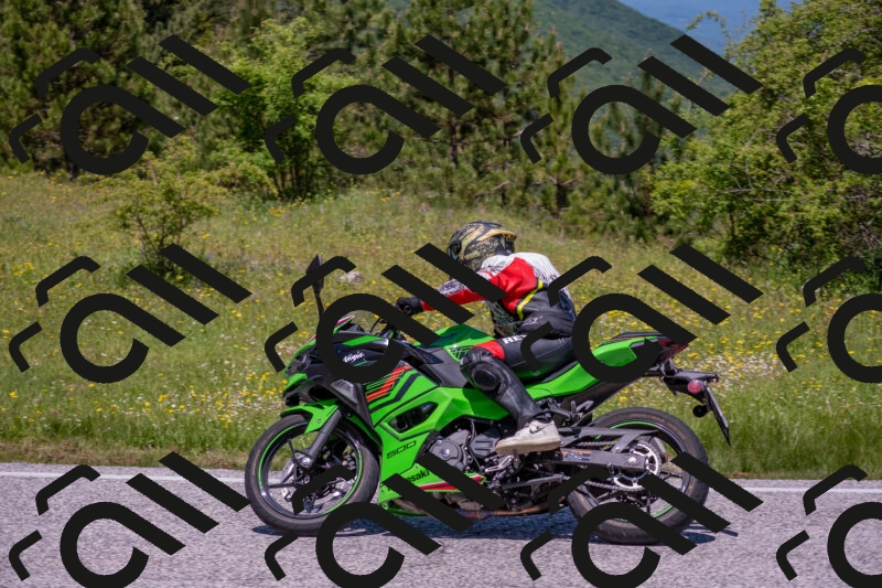 202506021220-DSC_8841_c4_