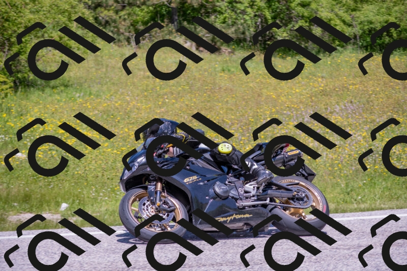 202506021220-DSC_8843_c4_