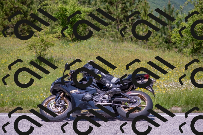 202506021220-DSC_8844_c4_