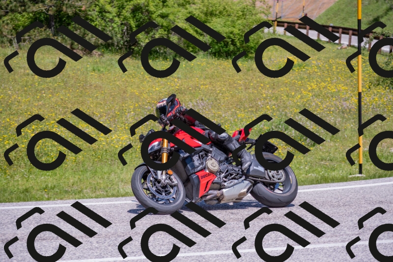 202506021220-DSC_8846_c4_