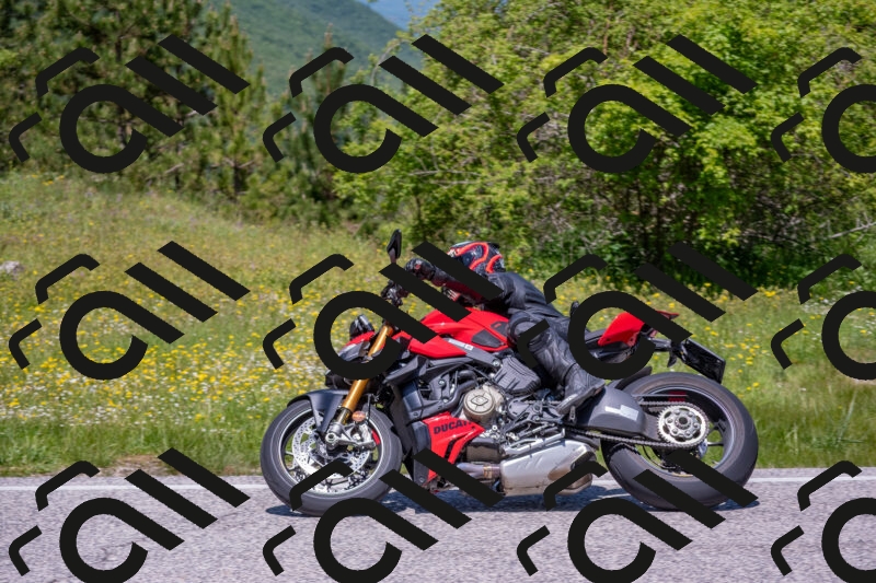 202506021220-DSC_8847_c4_