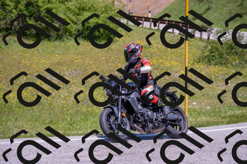 202506021220-DSC_8848_c4_