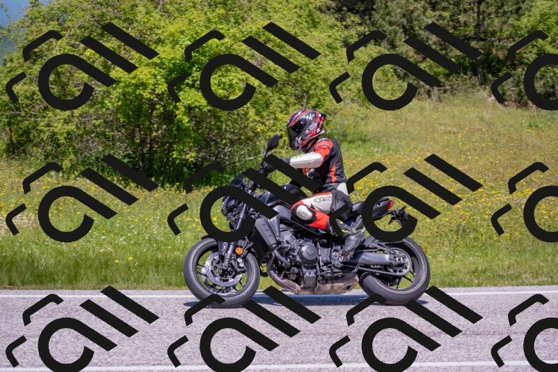 202506021220-DSC_8849_c4_