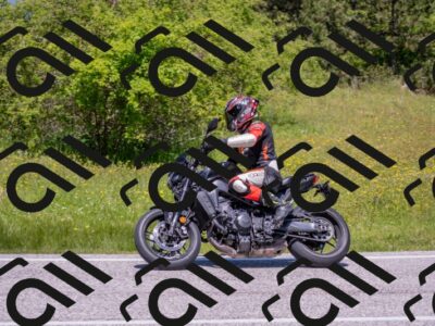 202506021220-DSC_8849_c4_