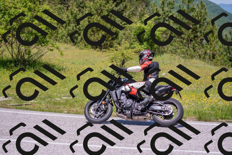 202506021220-DSC_8850_c4_