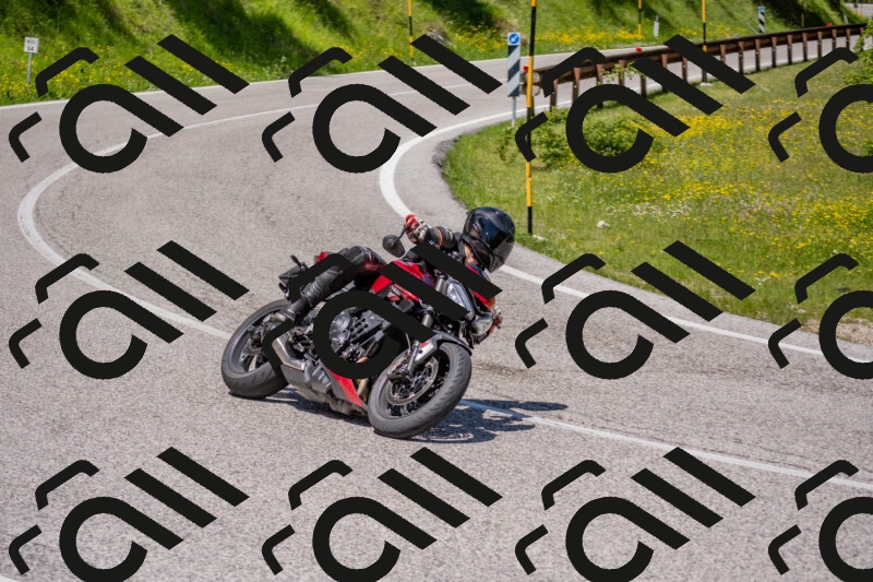 202506021220-DSC_8851_c4_