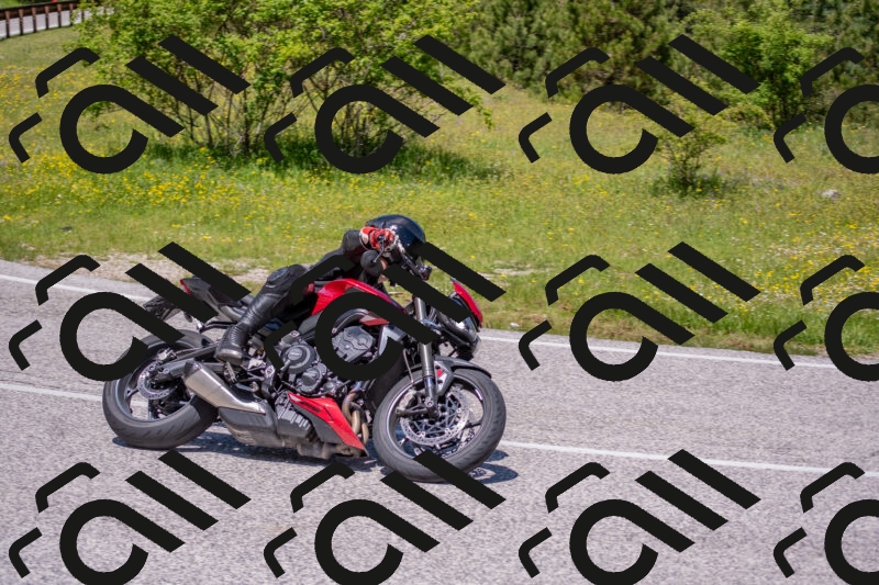 202506021220-DSC_8852_c4_