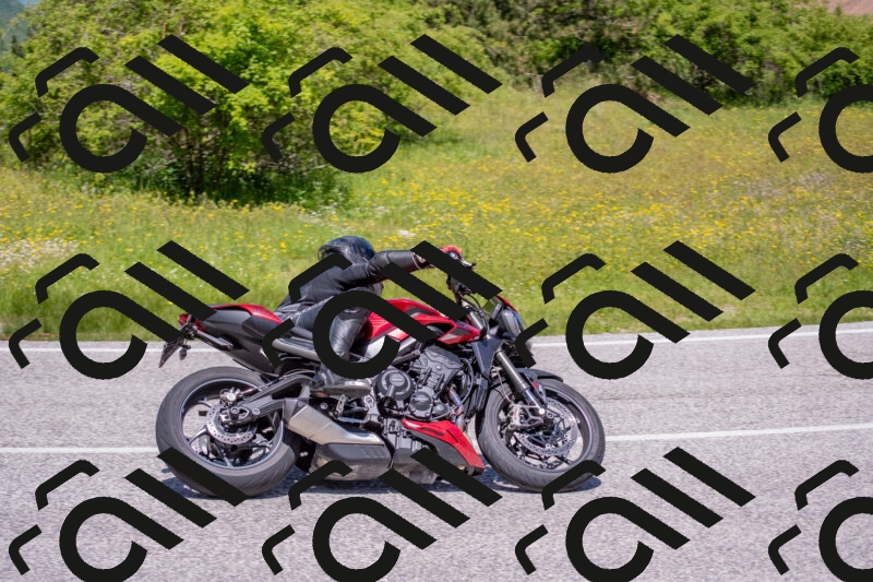 202506021220-DSC_8853_c4_