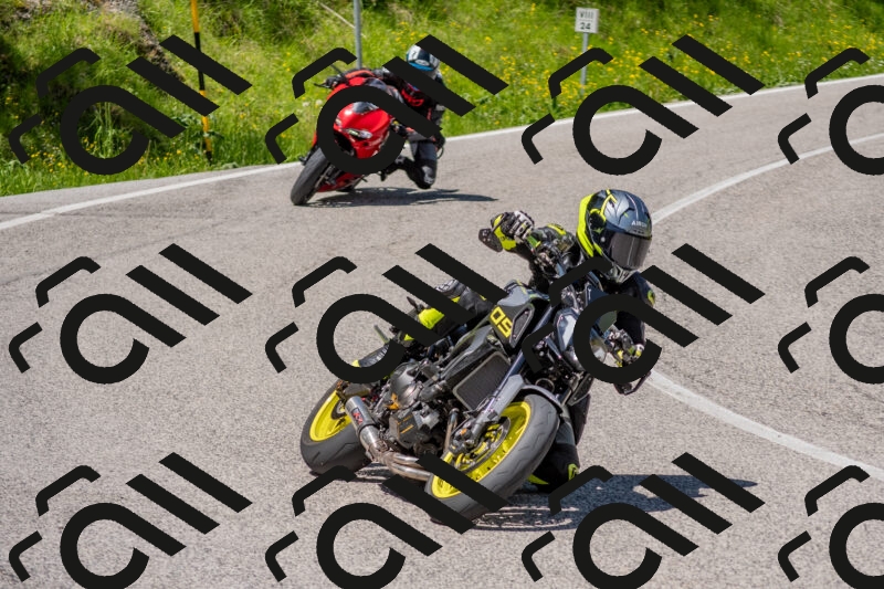 202506021221-DSC_8854_c4_