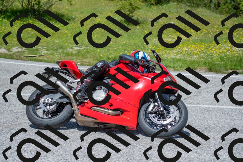 202506021221-DSC_8857_c4_