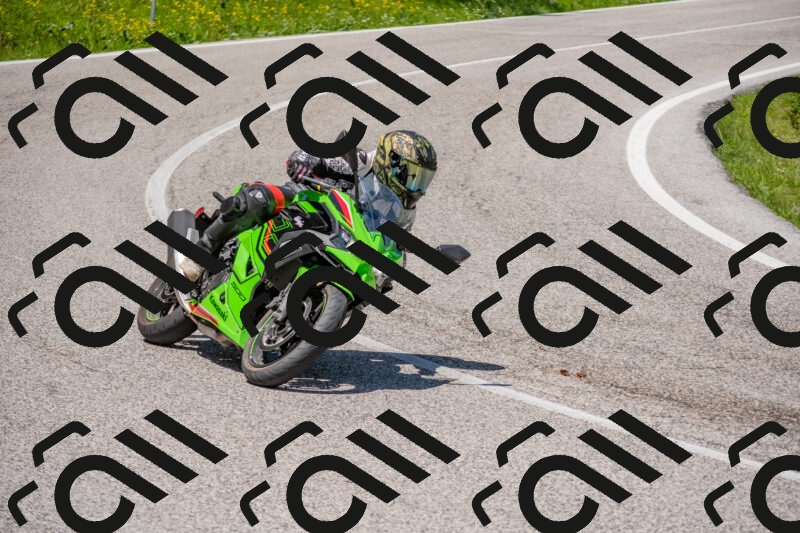 202506021221-DSC_8860_c4_