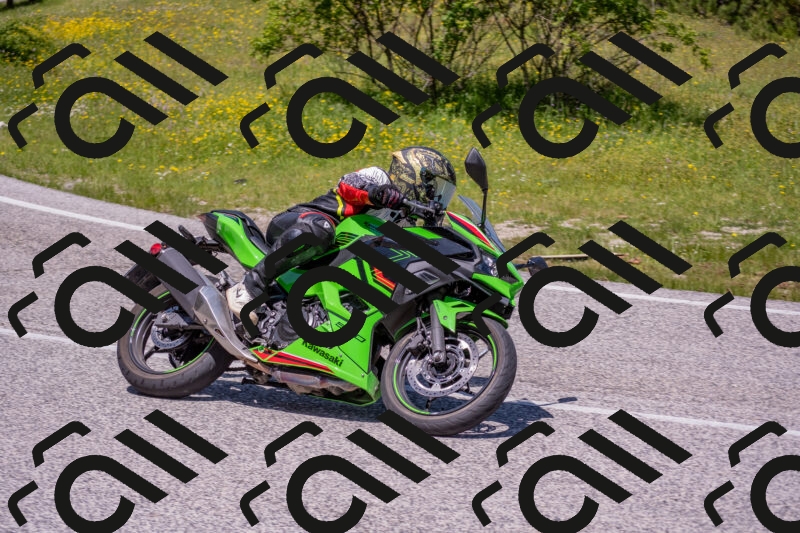 202506021221-DSC_8861_c4_