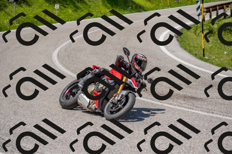 202506021221-DSC_8865_c4_