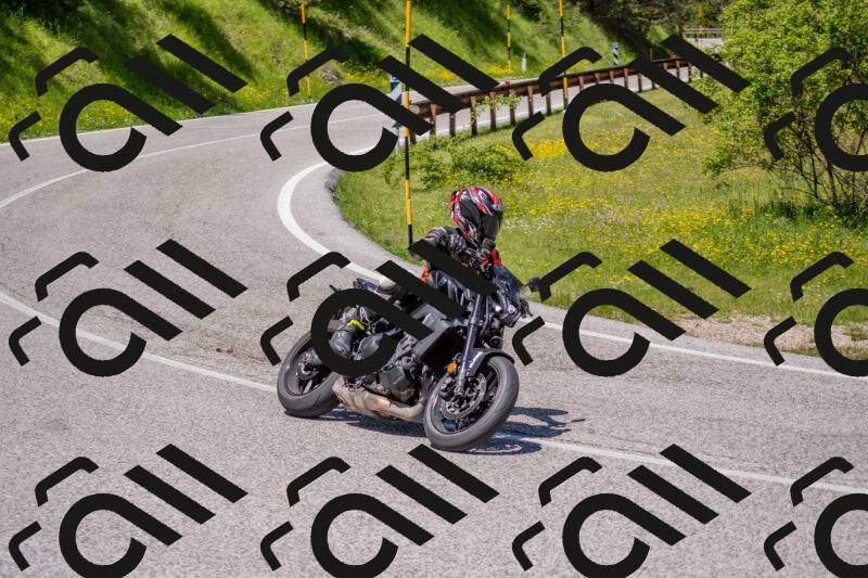 202506021221-DSC_8867_c4_