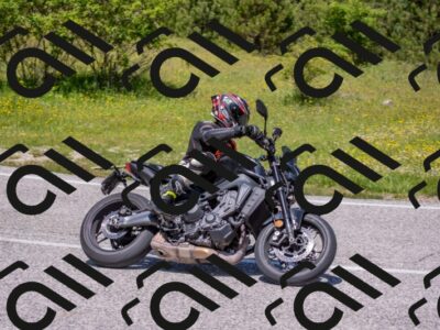 202506021221-DSC_8868_c4_