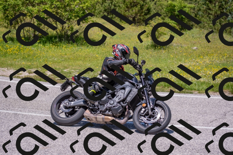 202506021221-DSC_8868_c4_