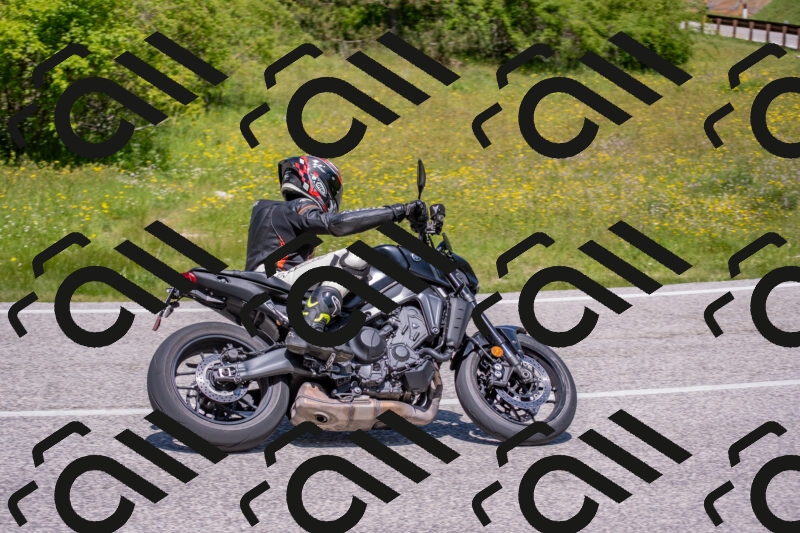 202506021221-DSC_8869_c4_