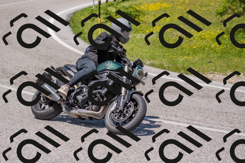 202506021222-DSC_8871_c4_