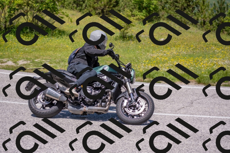 202506021222-DSC_8872_c4_