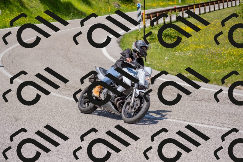 202506021222-DSC_8873_c4_