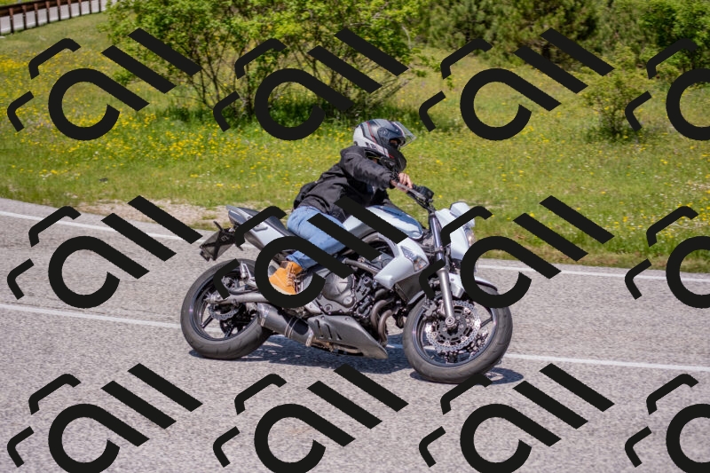 202506021222-DSC_8874_c4_