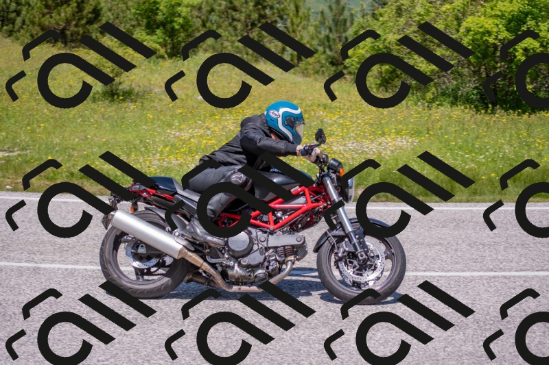 202506021222-DSC_8876_c4_