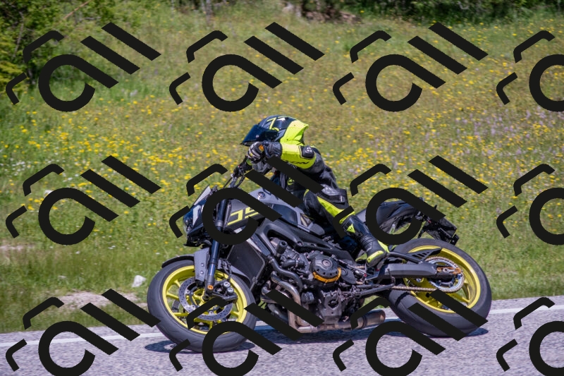 202506021222-DSC_8878_c4_