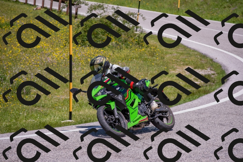 202506021222-DSC_8881_c4_