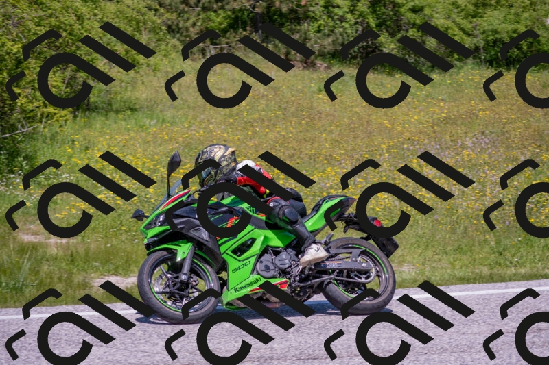 202506021222-DSC_8882_c4_