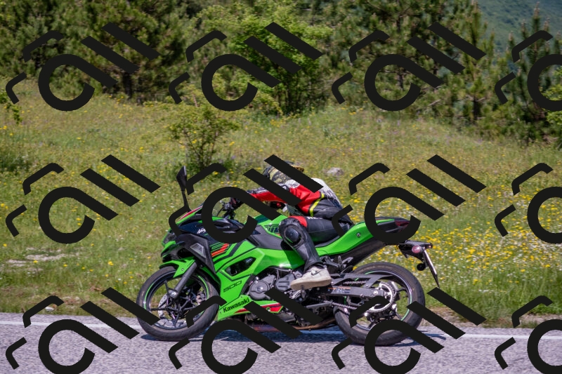 202506021222-DSC_8883_c4_