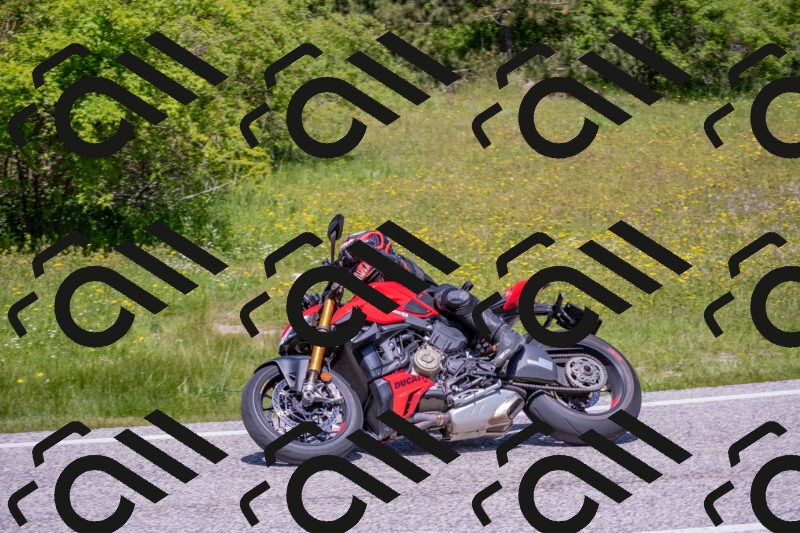 202506021222-DSC_8885_c4_