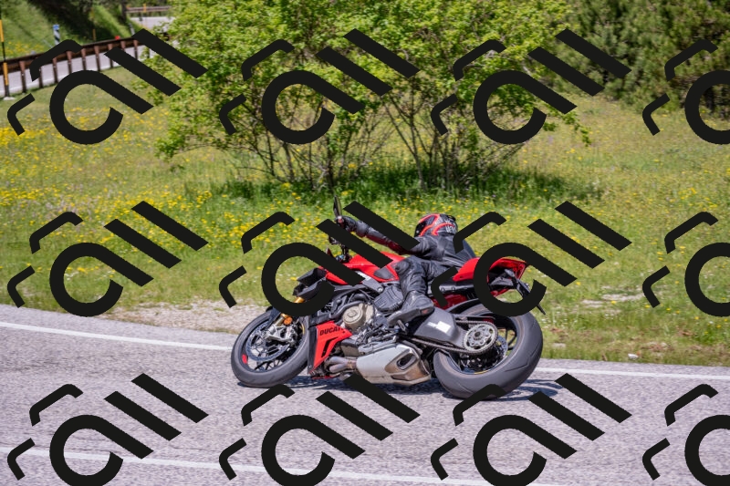 202506021222-DSC_8886_c4_