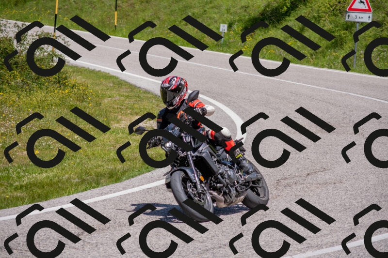 202506021222-DSC_8887_c4_