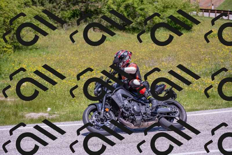 202506021222-DSC_8888_c4_