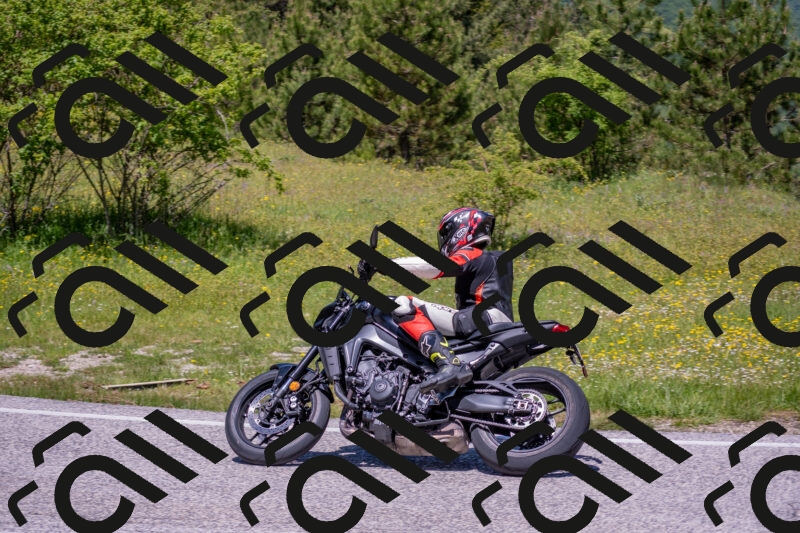 202506021222-DSC_8889_c4_